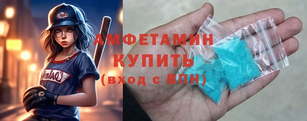 индика Гусь-Хрустальный