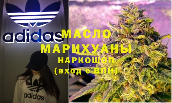 мдпв Елабуга