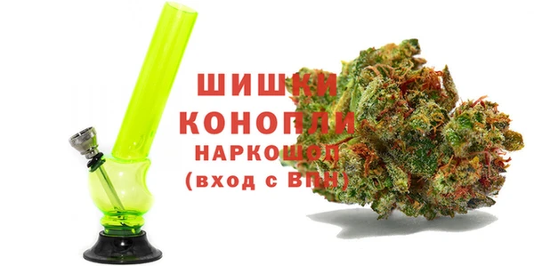 ПСИЛОЦИБИНОВЫЕ ГРИБЫ Заволжье