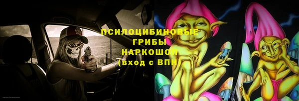 молекула духа Елизово