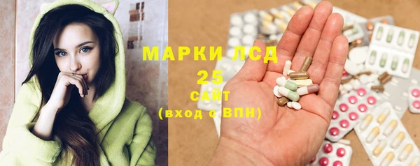 индика Гусь-Хрустальный