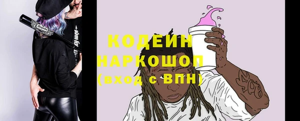 индика Гусь-Хрустальный