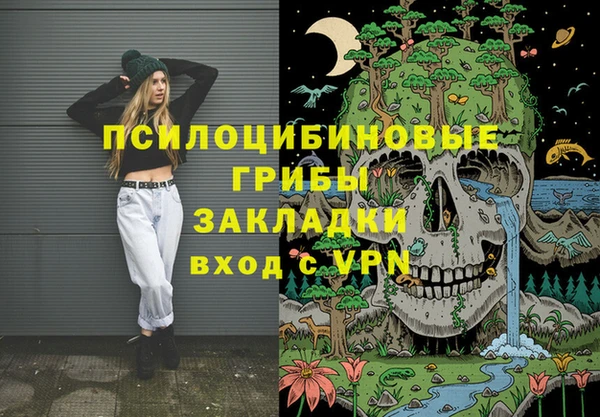 ешки Гусев