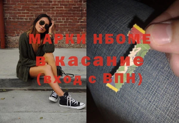 мдпв Елабуга