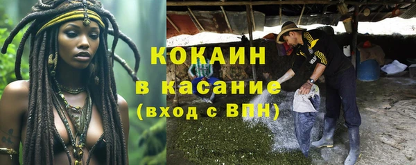 индика Гусь-Хрустальный