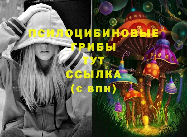 молекула духа Елизово