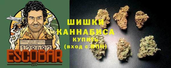 ешки Гусев