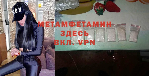 индика Ельня