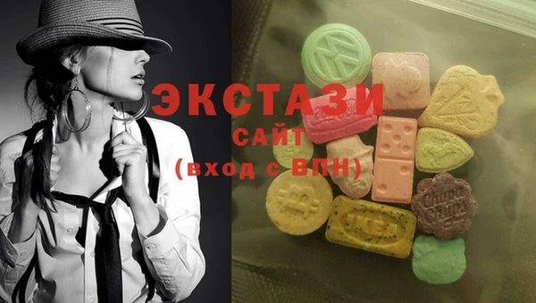 индика Ельня