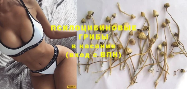 молекула духа Елизово