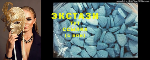 мдпв Елабуга