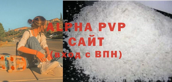 индика Ельня