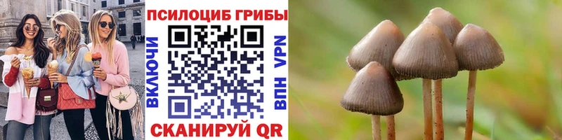 hydra как зайти  Поворино  Галлюциногенные грибы мицелий 